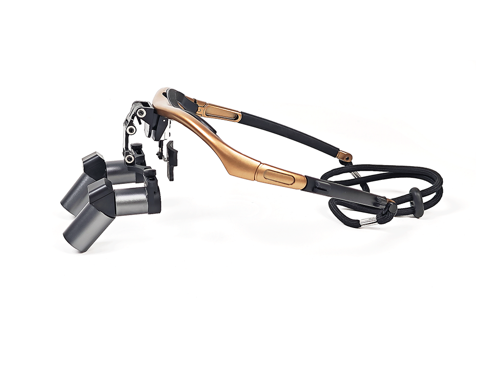 Ergo 5.5X